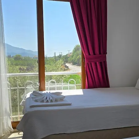 Ekin Dalyan