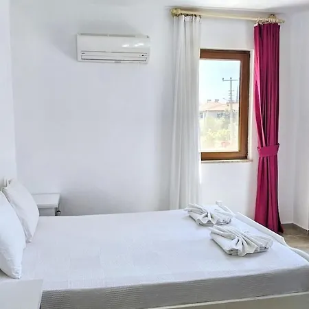 فيلة Ekin داليان