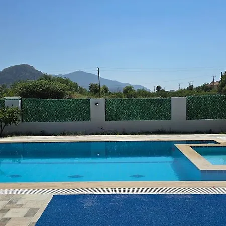 Ekin فيلة داليان